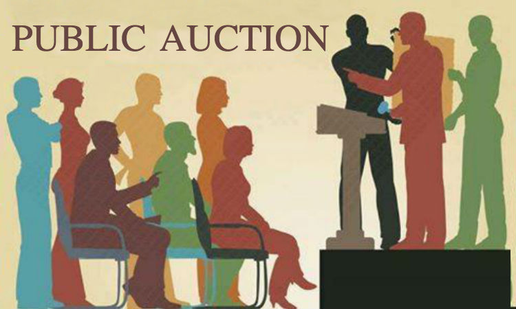Public Auction