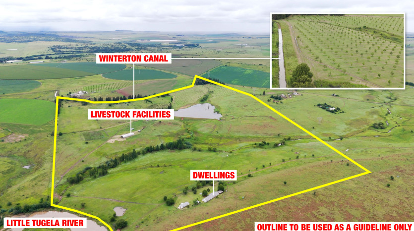 ± 62 Ha Winterton Farm