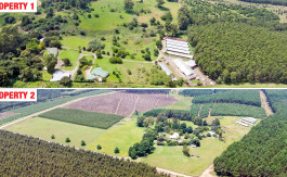 Poultry Farms - Layers & Broilers with Abattoir