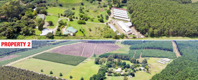 Poultry Farms - Layers & Broilers with Abattoir