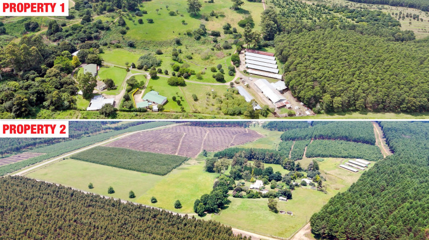 Poultry Farms - Layers & Broilers with Abattoir